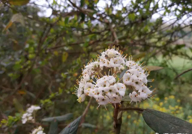 大家怎么看待现在年轻人喜欢排队？