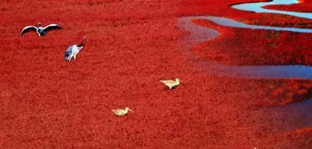 东北有什么旅游景点？