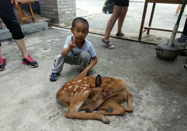 外出旅游，您愿意带小孩吗？有什么建议呢？