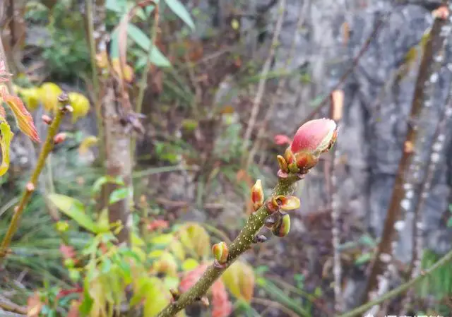 大家怎么看待现在年轻人喜欢排队？