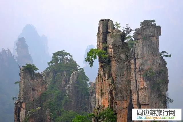 去张家界旅游，可以按游客要求设计独立成团线路吗？