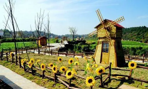 如何规划休闲农业和乡村旅游项目？