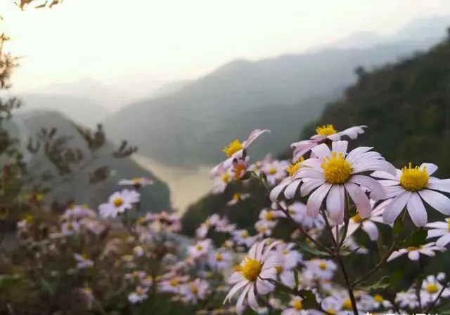 北京周边有哪些可以攀登的野长城？