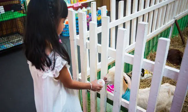 你在旅游途中遇到的奇葩事情？