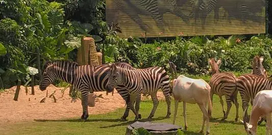 孩子两岁左右适合去哪里旅游？
