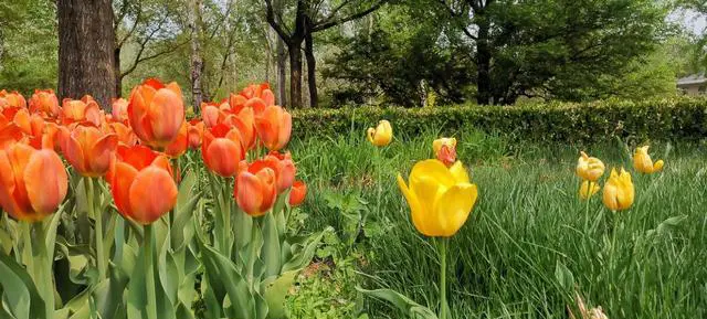 由于口罩人们出行减少，这个十一长假你会外出旅行吗？