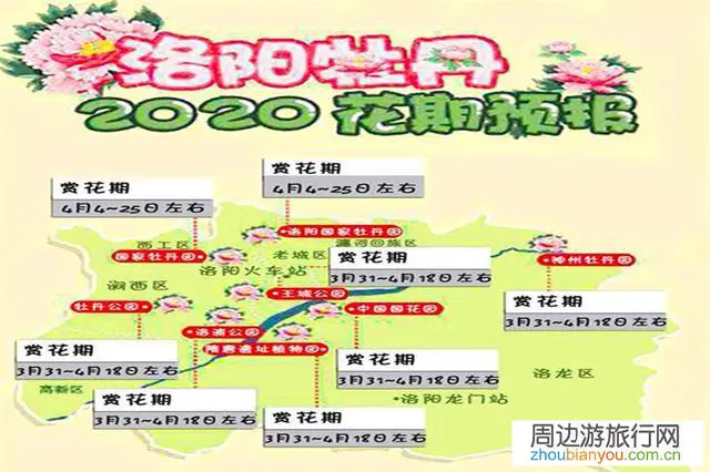 山东、河南现在风景区开放了吗，酒店宾馆、农家院恢复营业了吗？