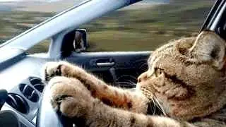 自驾游怎么玩才不累？