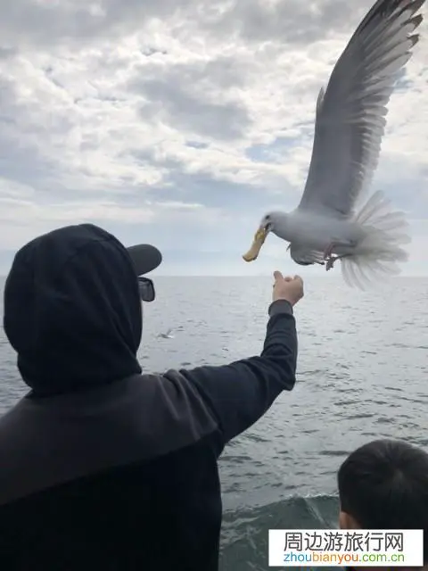 你在贝加尔湖有哪些游玩的经历值得分享？