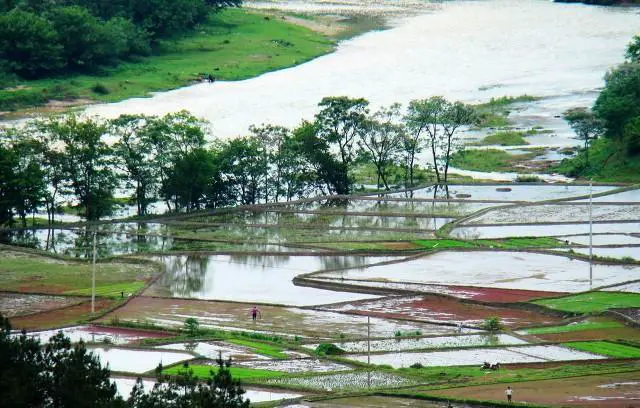 退休后老人自驾游有哪些优势和弊端，需要注意哪些问题？