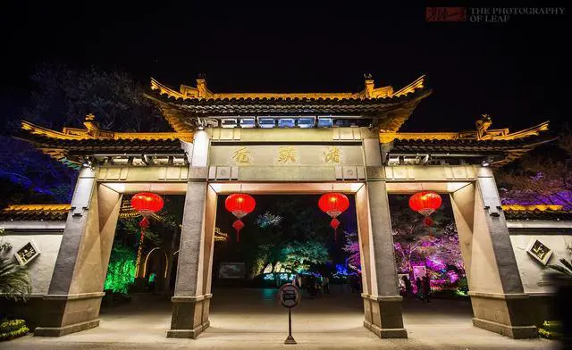 观赏樱花在国内去哪里最好？