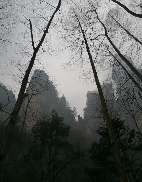 在旅行前你会做旅行攻略吗?做旅行攻略你会把要点放在哪一方面?