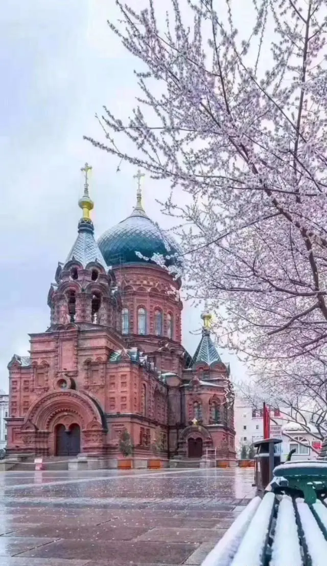 湖南理科女，想去哈尔滨工程大学，父母因为又远又冷天气干燥严厉反对，我该怎么说服他们？