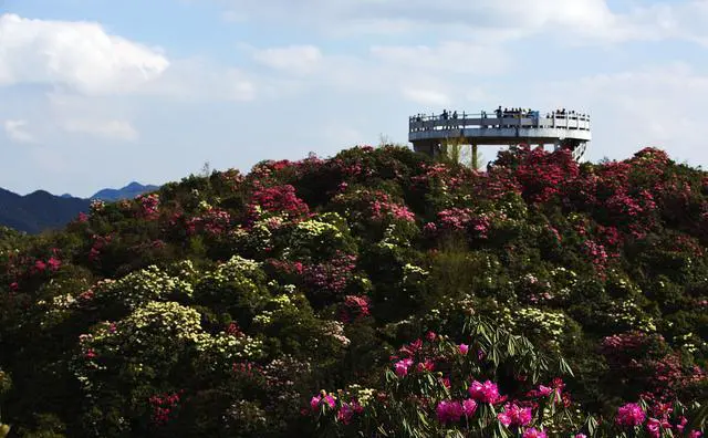 4至5月适合去哪里踏春旅游?