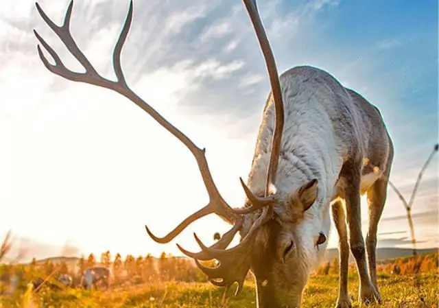 想带家人去草原自驾游，沈阳出发，推荐下一星期的路线？