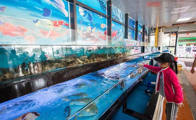 三亚去哪里吃海鲜又好又实惠？