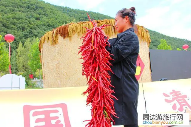 乡村振兴，当地村民最希望从哪些事情开始？