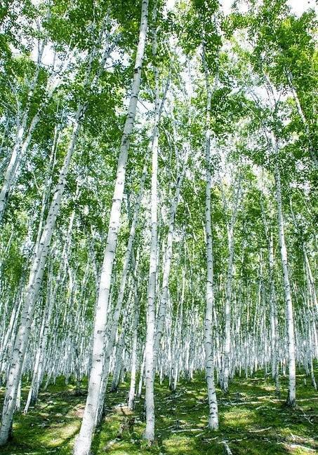 学生暑期可以跨省旅游吗？