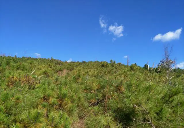 你在爬山的过程中，感受到了什么？