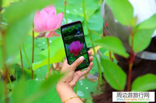 准备西北自驾游，预算2-3万适合配哪些摄影器材？