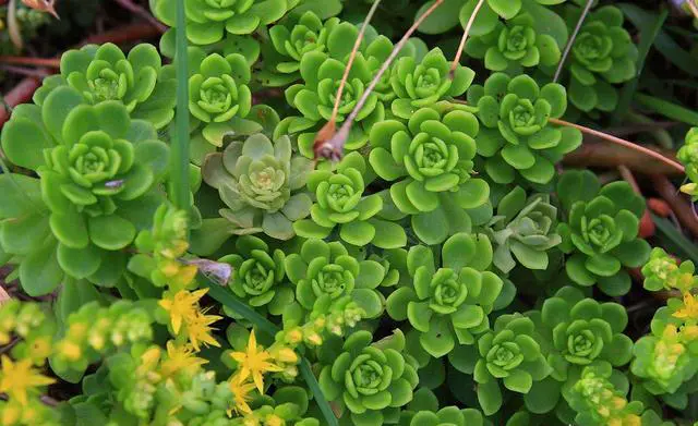 五一去游玩有什么地方可以推荐的吗？