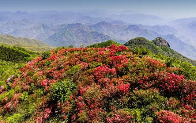 杭州周边有什么地方适合周末玩？