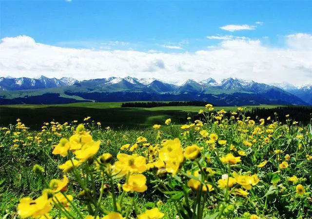 自驾旅游应该注意哪些情况,才能做到文明旅游?