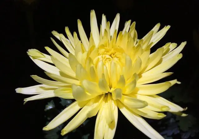 可以省内旅游了，您最想去哪个景区？