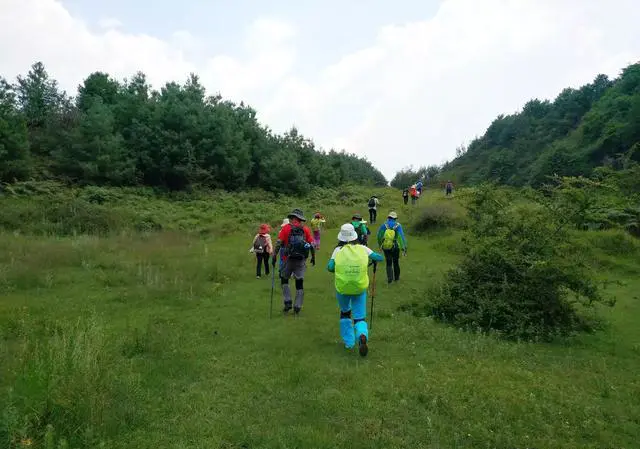 2020最新的热门旅行方式有哪些？你会选择哪种？