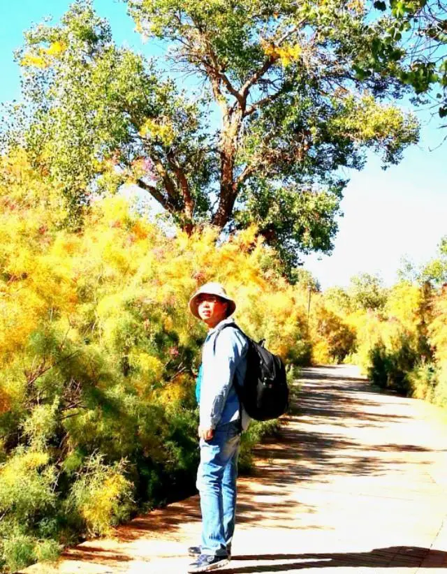 头条加黄V和不加黄V，大家有什么实际体验，区别在哪？