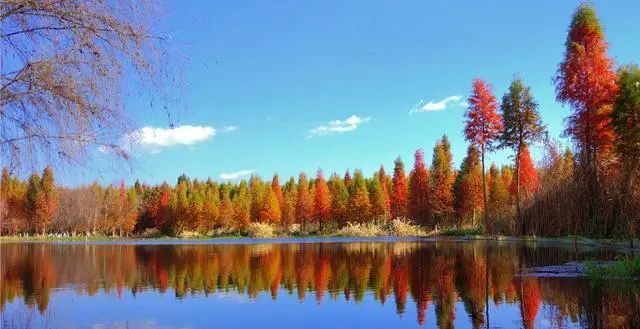 云南那个城市更宜居?