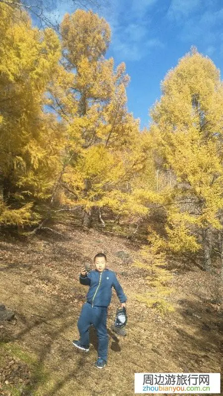 2020年夏季,去哪里旅行比较好?