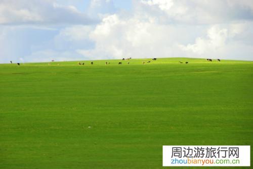 今年暑假还能带娃出门旅行吗？有风险吗？