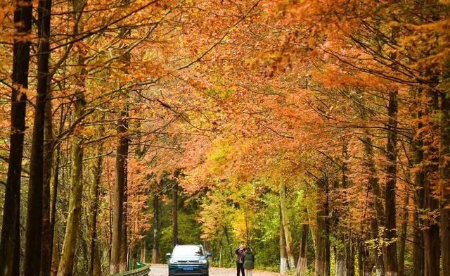 环秦岭自驾游线路图推荐
