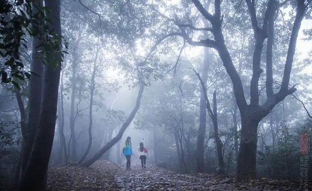 杭州有哪些著名的小众景点？