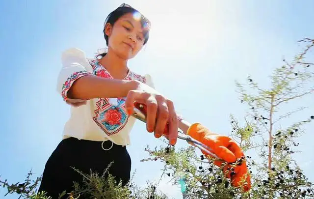 去新疆旅游，哪些地方让你去了还想再去？或者有哪些强烈推荐的地方？