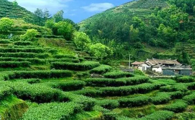 铜梁旅游景点值得去的地方