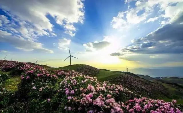 4至5月适合去哪里踏春旅游?