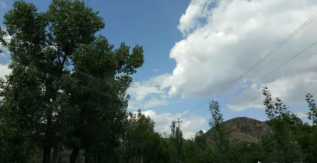 你觉得张北草原的魅力在哪里？