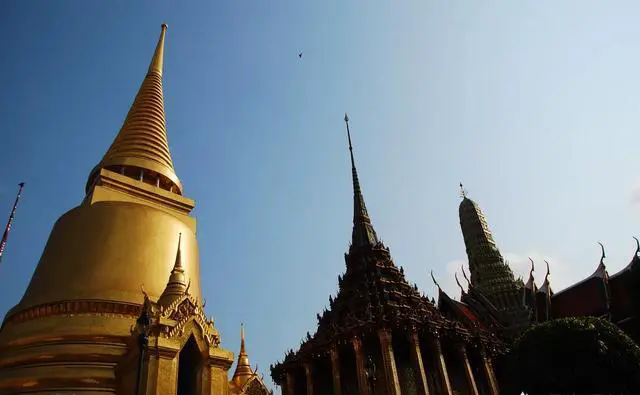 出国旅游应该怎样如厕更方便呢?