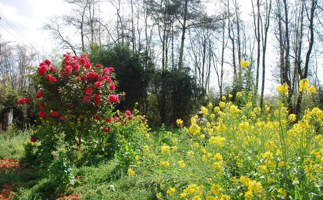 五十岁左右的朋友们平时学习哪些方面的知识？为什么学习？