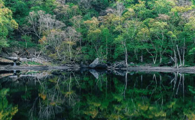 七月天气比较热，去哪里旅游更适合避暑，景色也赏心悦目？