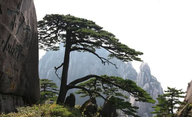 三山五岳、四大道教名山、四大佛教名山指的是哪些山？