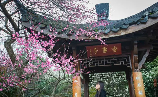 杭州有哪些赏梅的好去处？