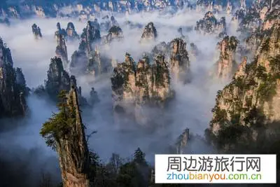 张家界旅游适不适合60、70岁的老人？