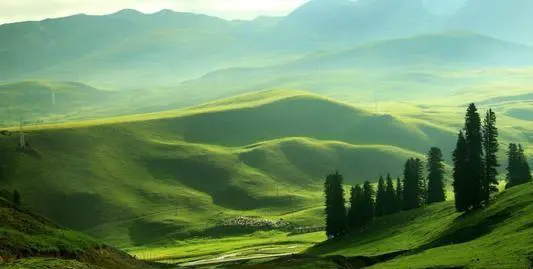 新疆巴音布鲁克好玩吗?