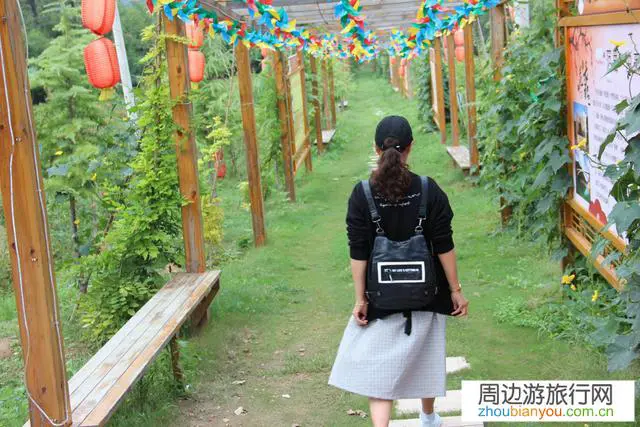 就目前情况而言，景区开放合适吗？