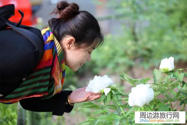 山东、河南现在风景区开放了吗，酒店宾馆、农家院恢复营业了吗？