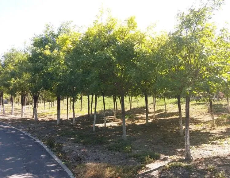 天津周末周边游目的地，周末必须安排！