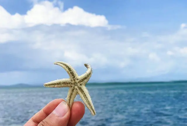 自己拍的随手风景照